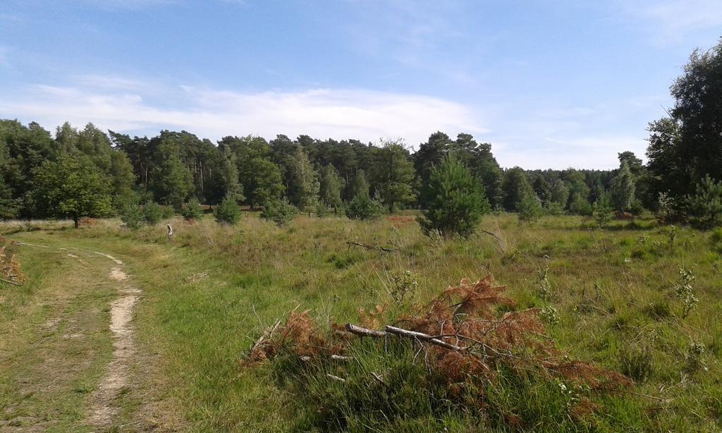 Ferienhaus Burgblick Brueggen Bruggen  Bilik gambar
