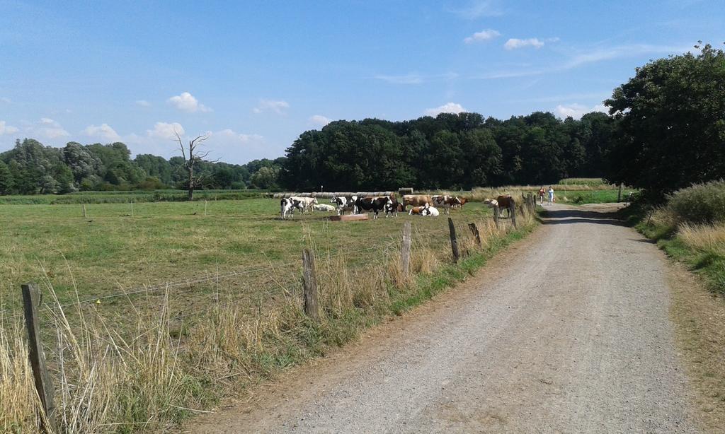 Ferienhaus Burgblick Brueggen Bilik gambar